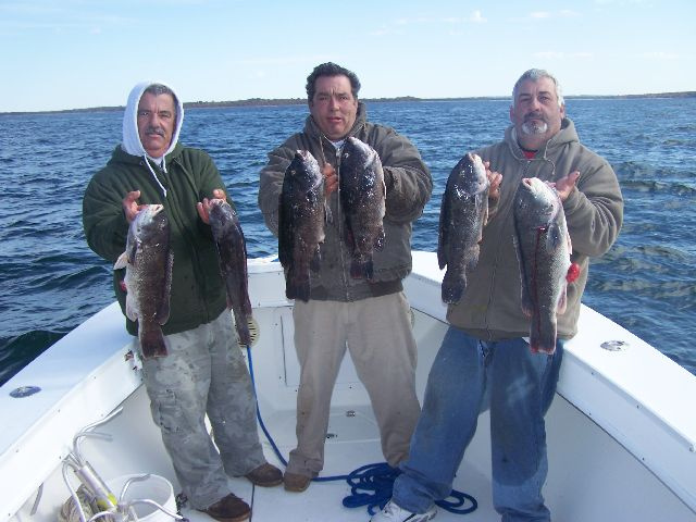 Newport Area Reef Tautog Fishing