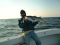 Night Fishing Block Island Sound with Captain Sheriff of Fishing Charters RI