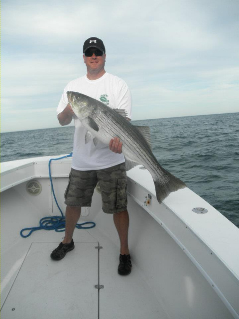 Block Island Bass