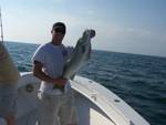 Striped bass fishing Block Island 