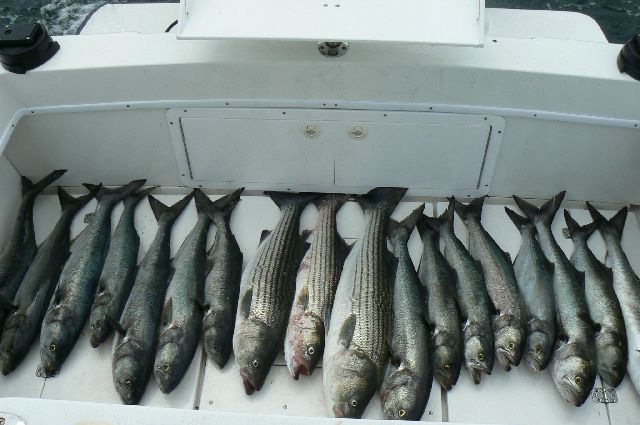 Block Island fishing