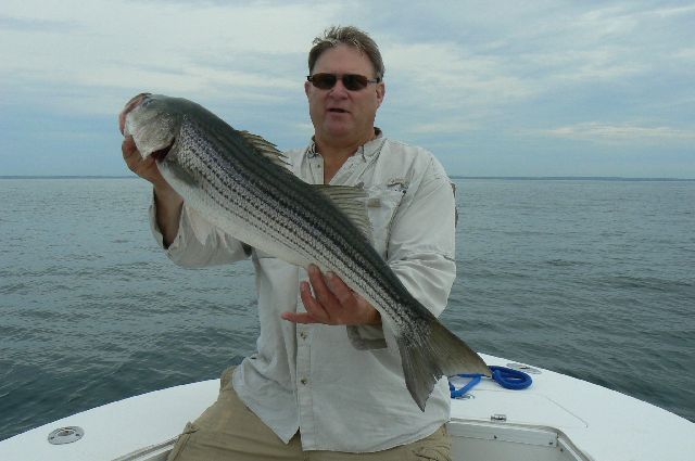 Fishing Watch Hill Rhode Island