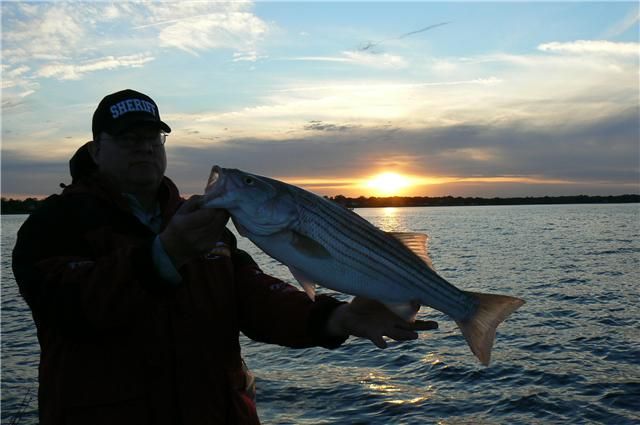 Narragansett Bay  Bass