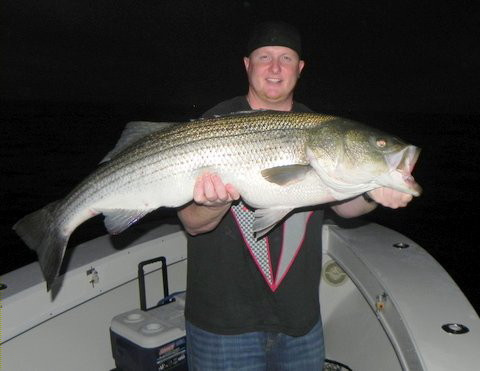 34 lb Block Island Bass