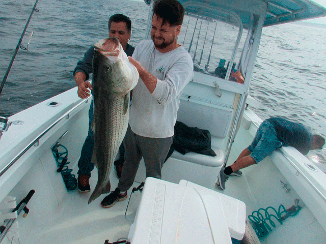 Book a charter today with Captain Sheriff - Fishing Rhode Island