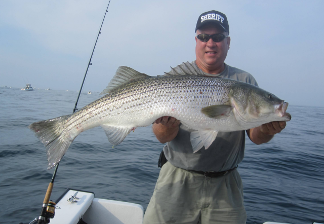 Striped Bass and Captain Cheriff