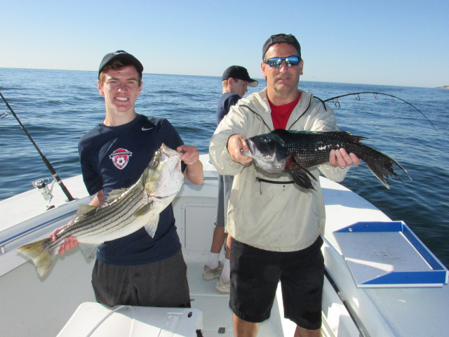 Block Island Striper /SeaBass Fishing