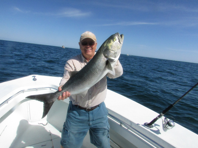 Block Island Bluefish Fishing