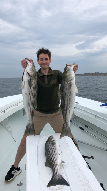 Three big Striped Bass Fishing with Captain Sherriff 