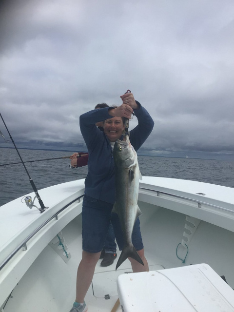 MonsterBluefish
