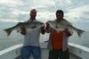 Fishing Block Island Sound