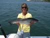 Block Island Bass Fishing