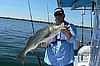 Rhode Island fishiing Charters