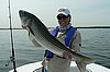 Rhode Island Fishing Charters 