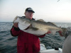 Block Island Bass